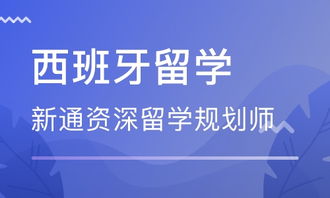 武漢西班牙留學中介 自費出國留學中介服務(wù)全指南